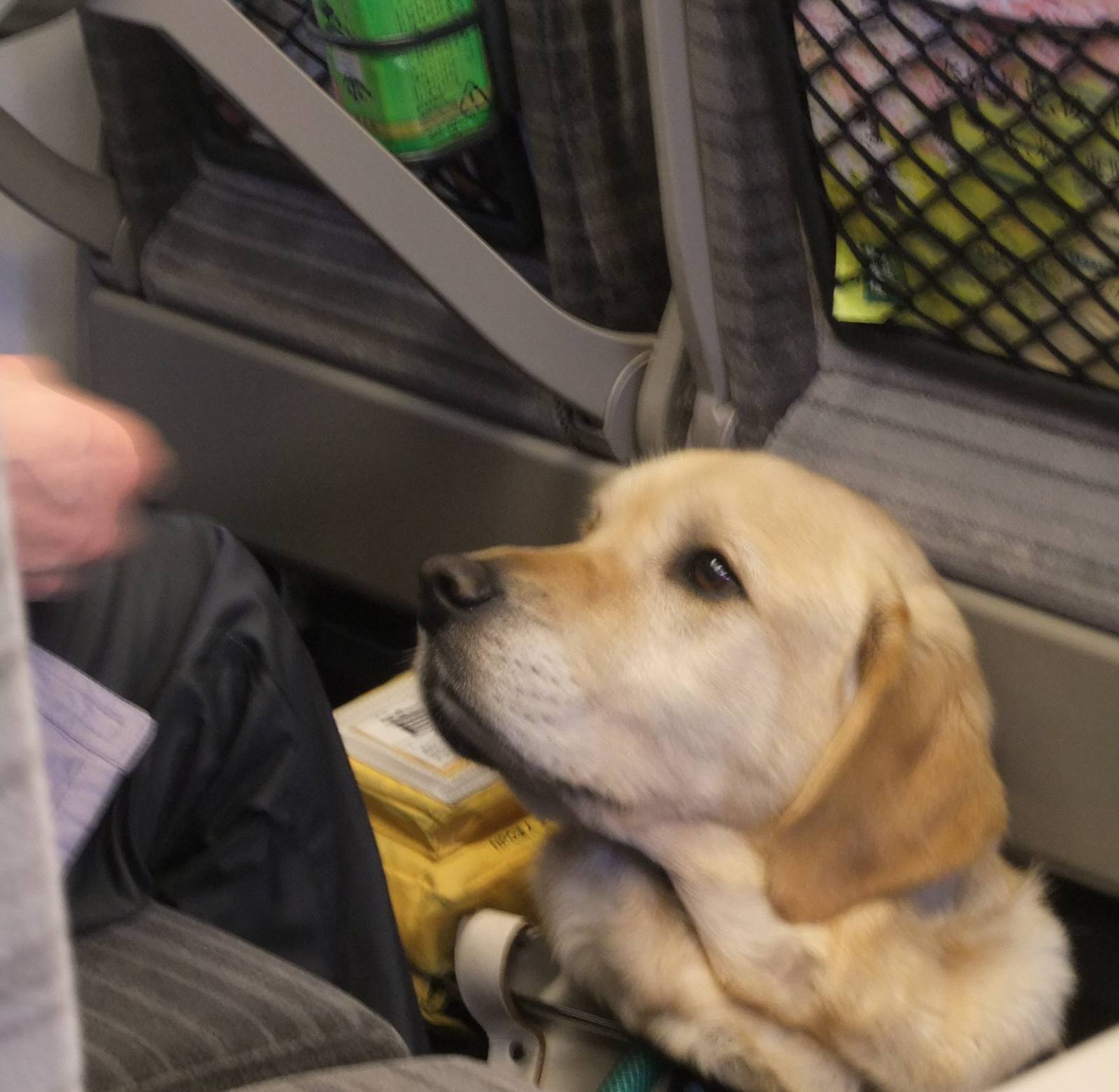 ワンコと一緒の旅　その１